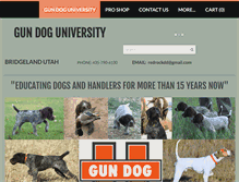 Tablet Screenshot of gduniversity.com